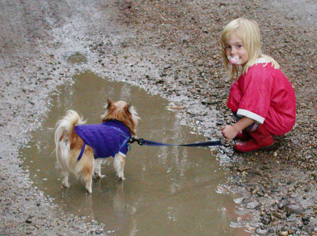 puddle 1620