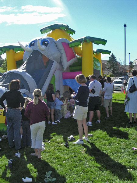 FFElephantSlide