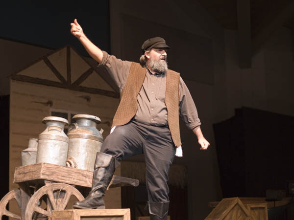 fiddler_5349