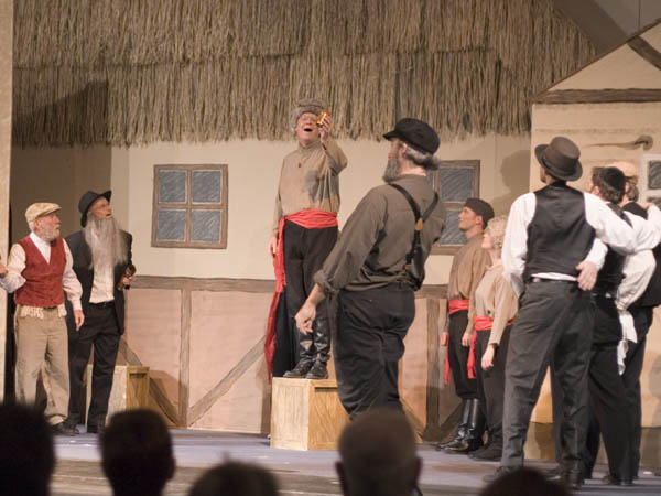 fiddler_5356
