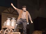 fiddler_5349