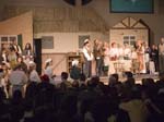 fiddler_5351