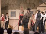 fiddler_5356