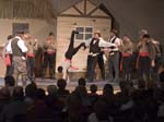 fiddler_5357
