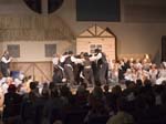 fiddler_5391